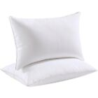 Beckham Luxury Linens Hotel Collection Bed Pillow White - Queen Size, 2 Pack
