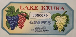 LABEL New York Grapes Lake Keuka Concord Penn Yan New York - Picture 1 of 1
