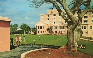 Postal vintage de golfistas de las Bermudas Belmont y club de golf para poner césped verde - Imagen 1 de 2