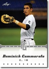 10-Count Lot DOMINICK CAMMARATA 2013 Leaf Perfect Game Rookie Silver RCs