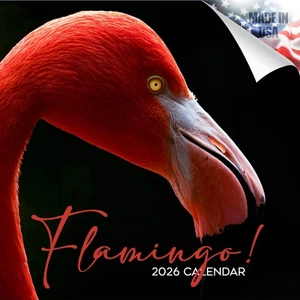 Flamingo Kalender Tropischer Vogel Kalender 2026 VOLLE GRÖSSE 12x24 Made in USA - Bild 1 von 10
