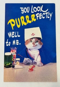 Vintage Unposted "You Look Purrrfectly Well To Me" Cameo Cat Nurse Postcard - Picture 1 of 2