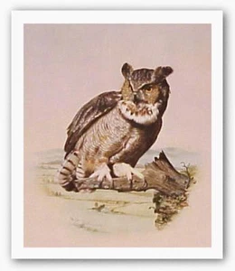 The Lookout Howard Burger Art Print 11x14 - Picture 1 of 1