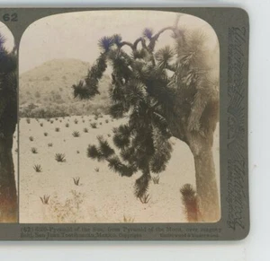 Pyramid of Sun San Juan Teotihuacan Mexico Underwood Stereoview - Picture 1 of 2