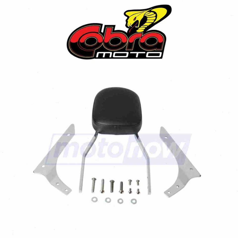 Cobra Standard Square Sissy Bar for 2004-2018 Honda VT750C Shadow Aero - cb Foto 1 de 4