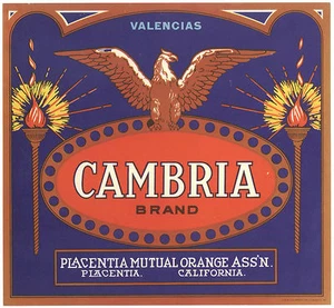 *Original* CAMBRIA Antorcha Águila Placentia Naranja Caja Etiqueta ¡NO ES UNA COPIA A COLOR! - Imagen 1 de 1