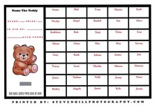 NAME THE TEDDY 40 NAME SCRATCH CARD CLUB FUNDRAISING SCHOOL FATE A5
