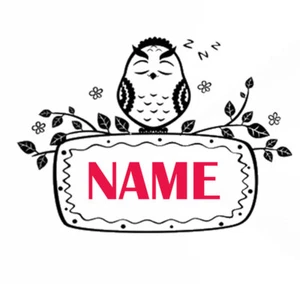 SLEEPY BÚHO Plantilla Personalizada Niño Niños Nombre Niño Niña Celebración A Medida U15 - Imagen 1 de 9