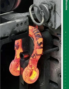 Clevis Van Beest Super Strong Screw Pin 5/8 Bow Shackle,Sling,Wire Rope 5 Ton - Picture 1 of 8