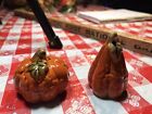 Set/Two Halloween Thanksgiving Miniature Pumpkin &Gourd Salt&Pepper Shakers 