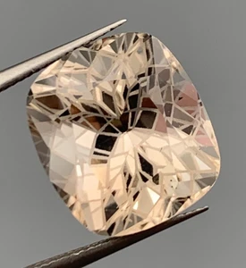 14,65ct Topas Blume Stufencoushion Schnitt aus Pakistan - Bild 1 von 9
