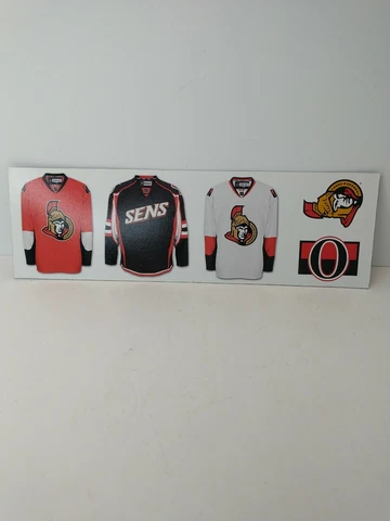 NHL Ottawa Senators Refrigerator Magnet Cover