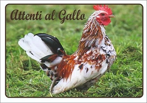 RAZZA POLLO SERAMA TARGA ATTENTI AL GALLO RESISTENTE ROBUSTA HPL PER ESTERNO - Picture 1 of 1