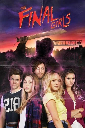The Final Girls (DVD, 2015)