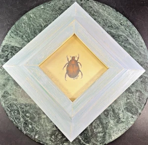 "Lady Beetle" Framed S&N Print 2000 Lyndi Lende Diagonal Mount 36/1095 - Picture 1 of 11