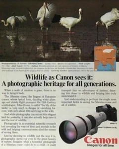 1981 Canon Camera Magazine Print Ad Wildlife as Canon sees it... - Picture 1 of 3