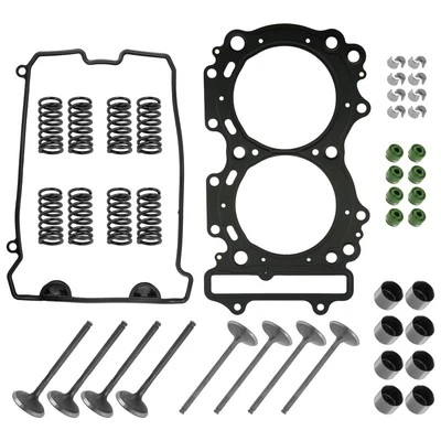 Kit de válvulas de admisión y escape y juntas para Arctic Cat Jaguar Z1 2007-2008 Foto 1 de 4