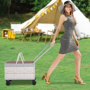 55L Grey Large Capacity Rolling Cart Foldable Cart Foldable Box For Outdoor - Picture 1 of 18