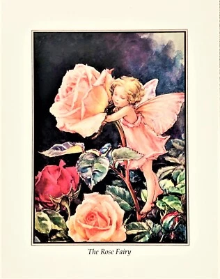 Vtg. Cicely Mary Barker Birthday card 1991 "The Rose Fairy "4-3/4x 6 " - Image 1 of 4