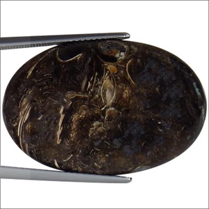 31.18 Ct Natural Shiva Eye Gemstone Multi Color Oval Cut - Picture 1 of 2