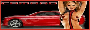 "Insegna in metallo Camaro 6""x18" - Foto 1 di 1