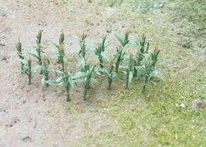 MP SCENERY 32 Corn Stalks N Gauge Model Vegetable Plant Railroad Farm Layout - Picture 1 of 4