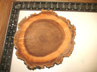 8 Pc 8" to 10" ELM Log Slices Wood Disk Rustic Wedding Centerpiece Coaster Decor