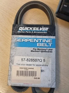 Quicksilver Serpintine Belt - Picture 1 of 2
