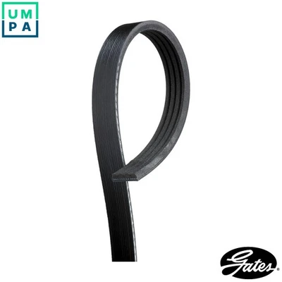 VRIBBED BELT 4PK845 FOR INFINITI HYUNDAI MATRIX EXCEL/II LANTRA/LAVITA GETZ 2.0L - Image 1 of 4