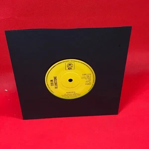 COLIN BLUNSTONE Wonderful 1973 UK 7" vinyl single Beginning EPIC 45 record - Imagen 1 de 4