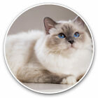 2 x Vinyl Stickers 20cm - Sacred White Birman Cat Kitten Cool Gift #15564