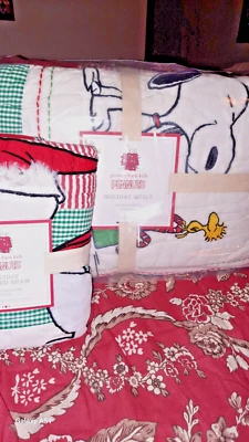 COLCHA DE VACACIONES DE CACAHUETES NIÑOS GRANERO DE CERÁMICA, DOBLE, 1 SOPORTE SHAM Foto 1 de 2