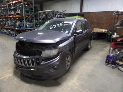 Manija de puerta trasera vertical estilo clásico Driver Strut para Jeep Compass 07-17 Foto 1 de 4