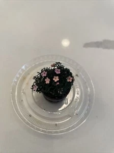 Vintage Miniatur Puppenhaus Pflanze mit rosa Blumen - Bild 1 von 6