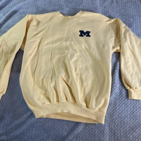 University of Michigan Wolverines 2005 Physical Therapy Yellow Cover