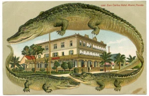 Alligator Border Florida Miami San Carlos Hotel 507 - Picture 1 of 2