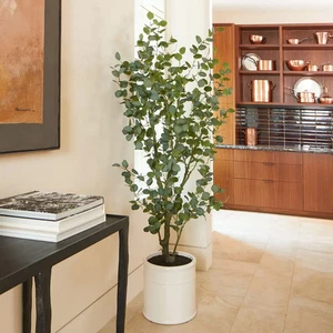 Artificial 6.5ft Eucalyptus Tree in French Crock Planter - Picture 1 of 6