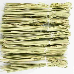 natural Darbha Grass or Kusha grass for puja karma hawan yagyan 12" long 10 pack - Picture 1 of 3