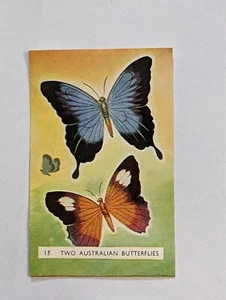 Vintage Sanitarium Collectable Card no 15 two Australian butterflies - Bild 1 von 2