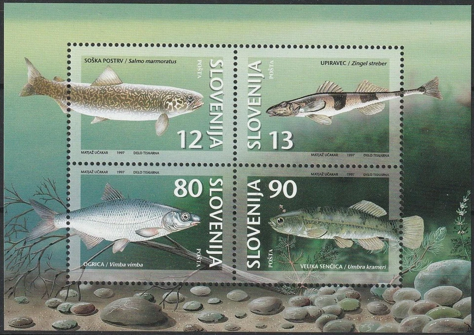 Slovenia 1997 ☀ Animals / Freshwater Fishes MSS ☀ MNH** - Image 1 of 1