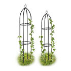 plantensteun obelisk - rankhulp - set van 2 stuks - rozenboog - klimplantensteun