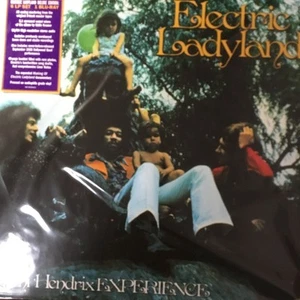The Jimi Hendrix Experience Electric Ladyland 2xLP LP 2018 Experience Hendrix M - Picture 1 of 5