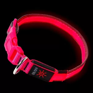 Large Pink LED Dog Collar Light Up Collar Luminous USB Flashing Night Safety - Picture 1 of 12