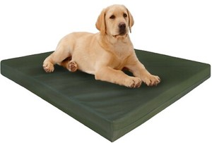 large canvas dog bed