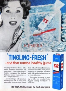Gibbs 'SR' Zahnpasta 'For Healthy Gums' ADVERT 1955 Vintage Print 673/32 - Bild 1 von 1