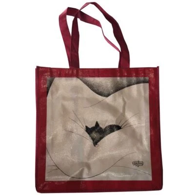 PARASTONE Sac pour les courses Les Chats de Dubout Gros Dodo 40 x 40 cm