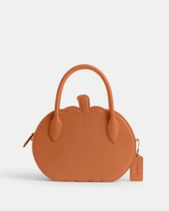 Neu mit Etikett Coach Pumpkin Runway CU868 Reißverschluss orange Leder Herbst Kürbis Handtasche - Bild 1 von 16