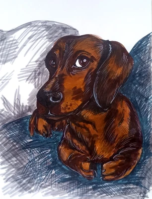 Dachshund Perro Retrato Animal Mascota Pintura Original Arte Pintado a Mano 8x5.5"" Foto 1 de 3