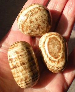 Aragonite - Peru - 3 Tumbled Stones rt397c - Picture 1 of 3