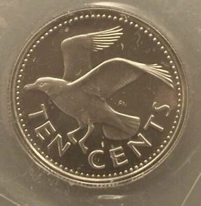 1974 BARBADOS (GABBIANO CHE RIDE) BU GEN DEEP CAMEO DIECI CENTESIMI PROOF pqiwt - Foto 1 di 2